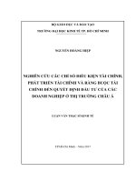 Nghiên cứu các chỉ số điều kiện tài chính, phát triển tài chính và ràng buộc tài chính đến quyết định đầu tư của các doanh nghiệp ở thị trường châu á 