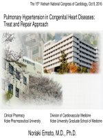 Tăng áp lực động mạch phổi ở người bệnh tim bẩm sinh chiến lược tiếp cận và điều trị 