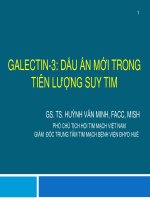 GALECTN-DẤU ẤN MỚI TRONG TIÊN LƯỢNG SUY TIM  abbott gal 3 july2017e