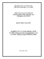 Nghiên cứu vi nấm trong nuôi cá tra (pangasianodon hypophthalmus) và cá lóc (channa striata) thâm canh (tt)