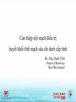 Can thiệp nội mạch điều trị huyết khối tĩnh mạch sâu chi dưới cấp 