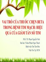 Tối ưu phối hợp điều trị thuốc chẹn beta trong điều trị tăng huyết áp 