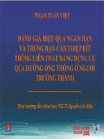 Tai biến muộn sau đóng thông liên thất phần quanh màng 