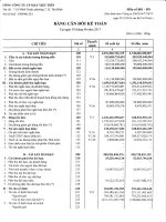 Báo cáo tài chính công ty mẹ quý 2 năm 2017