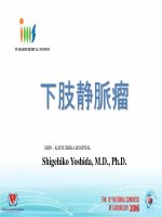 Cập nhật các kỹ thuật can thiệp nội mạch mới trong điều trị suy tĩnh mạch chi dưới 