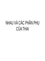 NHAU VÀ CÁC PHẦN PHỤ CỦA THAI