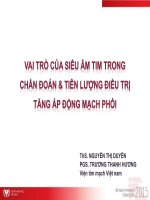 Vai trò của siêu âm tim trong chấn đoán và tiên lượng điều trị tăng áp lực Động Mạch Phổi ở bệnh tim bẩm sinh