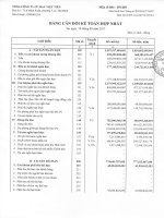 Báo cáo tài chính hợp nhất quý 3 năm 2017