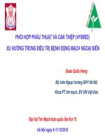PHỐI HỢP PHẪU THUẬT VÀ CAN THIỆP (HYBRID)  XU HƯỚNG TRONG ĐIỀU TRỊ BỆNH ĐỘNG MẠCH NGOẠI BIÊN