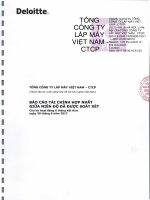 Báo cáo tài chính hợp nhất bán niên năm 2017 đã được kiểm toán soát xét