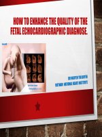 Những kỹ thuật giúp nâng cao chất lượng hình ảnh siêu âm tim thai 