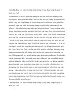 Cảm nhận đoạn văn miêu tả vẻ đẹp sông hương ở vùng đồng bằng và ngoại vi thành phố huế