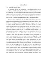 Hình phạt tử hình trong pháp luật hình sự Việt Nam và một số nước trên thế giới