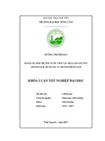 Đánh giá môi trường nước thải tại trại lợn Nguyễn Thanh Lịch, huyện Ba Vì, thành phố Hà Nội. (Khóa luận tốt nghiệp)
