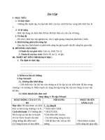 Đề cương ôn tập môn tin học 12