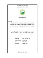 Nghiên cứu ảnh hưởng liêu lượng phân kali đến sinh trưởng và phát triển giống Nông Lâm 7 vụ mùa 2014 tại Đại học Nông Lâm Thái Nguyên. (Khóa luận tốt nghiệp)