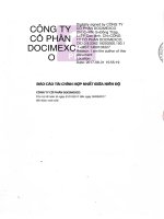 2017 BCTC Hop nhat giua nien do da duoc soat xet