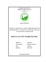Nghiên cứu ảnh hưởng của một số tổ hợp phân bón vô cơ đến sinh trưởng và năng suất giống đậu tương ĐT51 vụ Xuân năm 2017 tại Thái Nguyên. (Khóa luận tốt nghiệp)