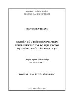 Nghiên cứu biểu hiện protein interleukine 7 tái tổ hợp trong hệ thống nuôi cấy thực vật (tt)
