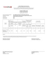 Giá trị tài sản ròng quỹ đầu tư Trái phiếu Techcom – TCBF (ngày 02 10 2017) | TECHCOMCAPITAL TCBF BC Ky 20171002