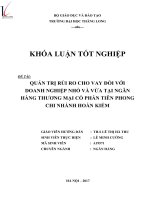 Quản trị rủi ro cho vay đối với doanh nghiệp nhỏ và vừa tại ngân hàng thương mại cổ phần tiên phong chi nhánh hoàn kiếm (tt) 