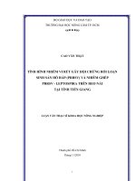 TÌNH HÌNH NHIỄM VI RÚT GÂY HỘI CHỨNG RỐI LOẠN SINH SẢN HÔ HẤP (PRRSV) VÀ NHIỄM GHÉP PRRSV  LEPTOSPIRA TRÊN HEO NÁI TẠI TỈNH TIỀN GIANG LUẬN VĂN THẠC SĨ KHOA HỌC NÔNG NGHIỆP