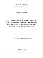 LUẬN VĂN THẠC SĨ KHOA HỌC NÔNG NGHIỆP ƯỚC LƯỢNG CÁC THÔNG SỐ DI TRUYỀN VÀ GIÁ TRỊ GÂY GIỐNG CỦA MỘT SỐ TÍNH TRẠNG SINH SẢN THEO PHƯƠNG PHÁP DFREML, BLUP VÀ GIBBS SAMPLING TRÊN CÁC GIỐNG HEO TẠI TRẠI HEO CAO SẢN KIM LONG
