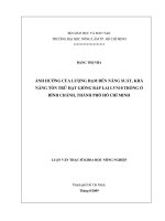 LUẬN VĂN THẠC SĨ KHOA HỌC NÔNG NGHIỆP ẢNH HƯỞNG CỦA LƯỢNG ĐẠM ĐẾN NĂNG SUẤT, KHẢ NĂNG TỒN TRỮ HẠT GIỐNG BẮP LAI LVN10 TRỒNG Ở BÌNH CHÁNH, THÀNH PHỐ HỒ CHÍ MINH