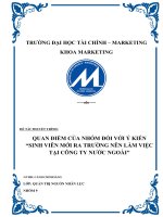 Quan điểm của nhóm đối với ý kiến sinh viên mới ra trường nên làm việc tại công ty nước ngoài