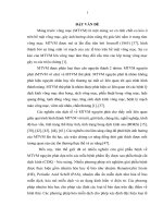 Nghiên cứu đặc điểm lâm sàng và giải phẫu bệnh màng trước võng mạc nguyên phát