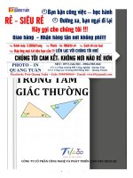 Một số bài toán về quan hệ bằng nhau trong tam giác thường 