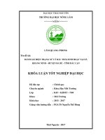 Đánh giá hiện trạng xử lý rác thải tại xã Khang Ninh ,huyên Ba Bể ,tỉnh Bắc Kạn. (Khóa luận tốt nghiệp)