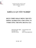 Hoàn thiện hoạt động truyền thông marketing cho công ty TNHH công thương hoàng gia (tt) 