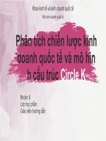 Phân tích chiến lược kinh doanh quốc tế và mô hình cấu trúc circle k