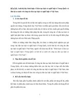 Tiểu luận luật so sánh