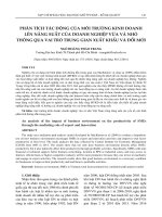 PHÂN TÍCH tác ĐỘNG của môi TRƯỜNG KINH DOANH lên NĂNG SUẤT của DOANH NGHIỆP vừa và NHỎ THÔNG QUA VAI TRÒ TRUNG GIAN XUẤT KHẨU và đổi (tt) 