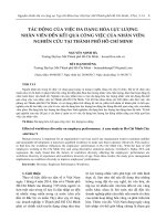 TÁC ĐỘNG của VIỆC đa DẠNG hóa lực LƯỢNG NHÂN VIÊN đến kết QUẢ CÔNG VIỆC của NHÂN VIÊN (tt)