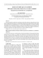 KHẢO sát HIỆU QUẢ của BORON đến KHẢ NĂNG đậu TRÁI của cà CHUA CHERRY (lycopersicon esculentum var  cerasiforme) (tt) 