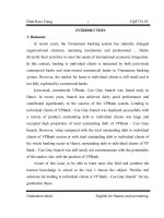 REALITY AND SOLUTIONS FOR LENDING TO INDIVIDUAL CLIENTS AT VPBANK – CAU GIAY BRANCH