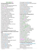 PHRASAL VERBS  SET exercises  keys 