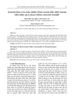 ẢNH HƯỞNG của đặc điểm TỔNG GIÁM đốc điều HÀNH đến HIỆU QUẢ HOẠT ĐỘNG DOANH NGHIỆP (tt) 