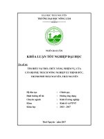 Tìm hiểu vai trò, chức năng, nhiệm vụ của cán bộ phụ trách nông nghiệp xã thịnh đức, thành phố thái nguyên, thái nguyên  
