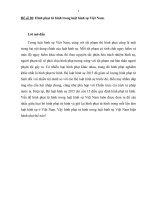 Tiểu luận hình sự Hình phạt tử hình BLHS 2015 sđ bs 2017