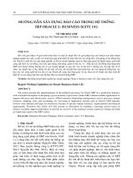 HƯỚNG dẫn xây DỰNG báo cáo TRONG hệ THỐNG ERP ORACLE e  BUSINESS SUITE 11g (tt) 