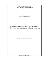 Nghiên cứu biểu hiện protein Interleukin 7 tái tổ hợp trong hệ thống nuôi cấy thực vật