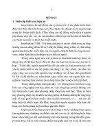 Nghiên cứu biểu hiện protein interleukine 7 tái tổ hợp trong hệ thống nuôi cấy thực vật 