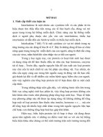 Nghiên cứu biểu hiện protein interleukine 7 tái tổ hợp trong hệ thống nuôi cấy thực vật (TT)