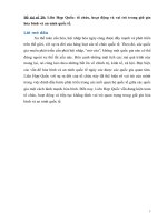 Tiểu luận công pháp quốc tế