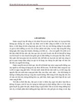 thiết kế nhà máy sản xuất rượu vang dâu