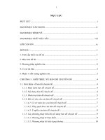 xây dựng bản đồ đê điều